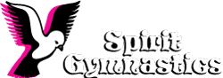 Spirit Gymnastics Logo